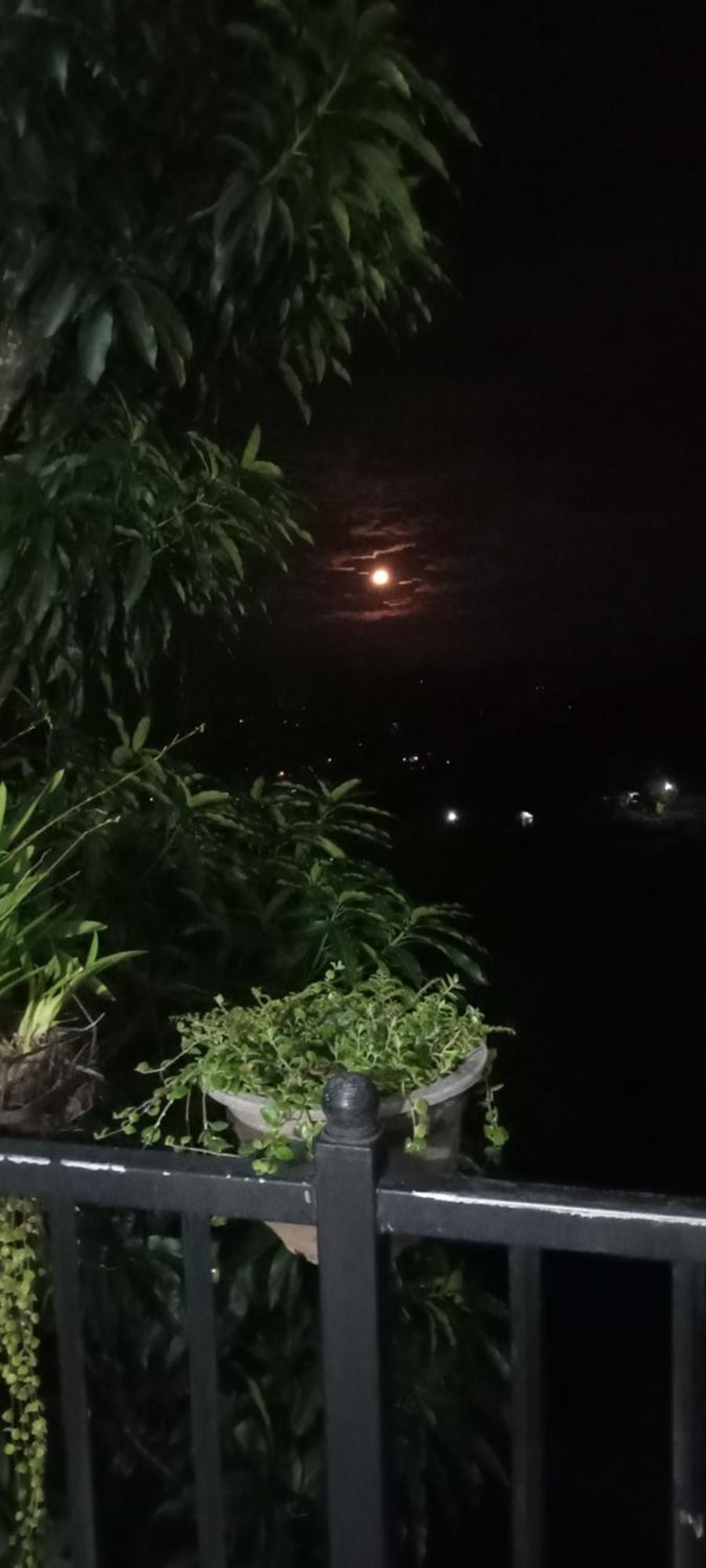 Kandy Ivy Mountain View Resort Δωμάτιο φωτογραφία