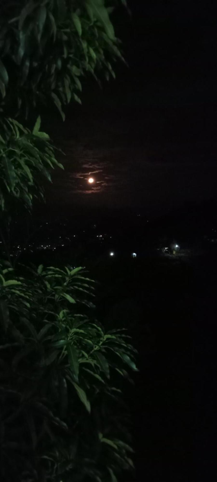 Kandy Ivy Mountain View Resort Δωμάτιο φωτογραφία